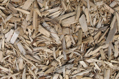 biomass boilers Furnace Wood